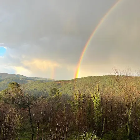 Joli Proche Du Mont Lozere *