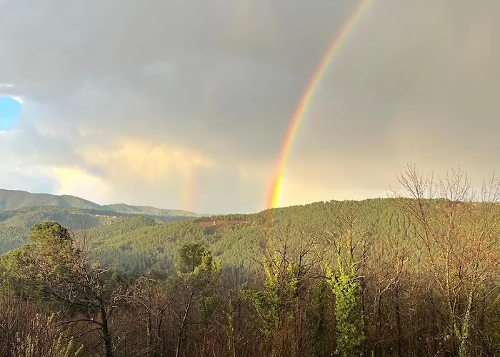 Joli Proche Du Mont Lozere *